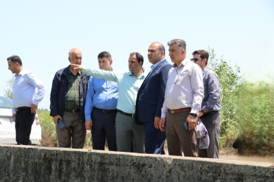 پاکسازی انهار لنگرود از سنبل آبی